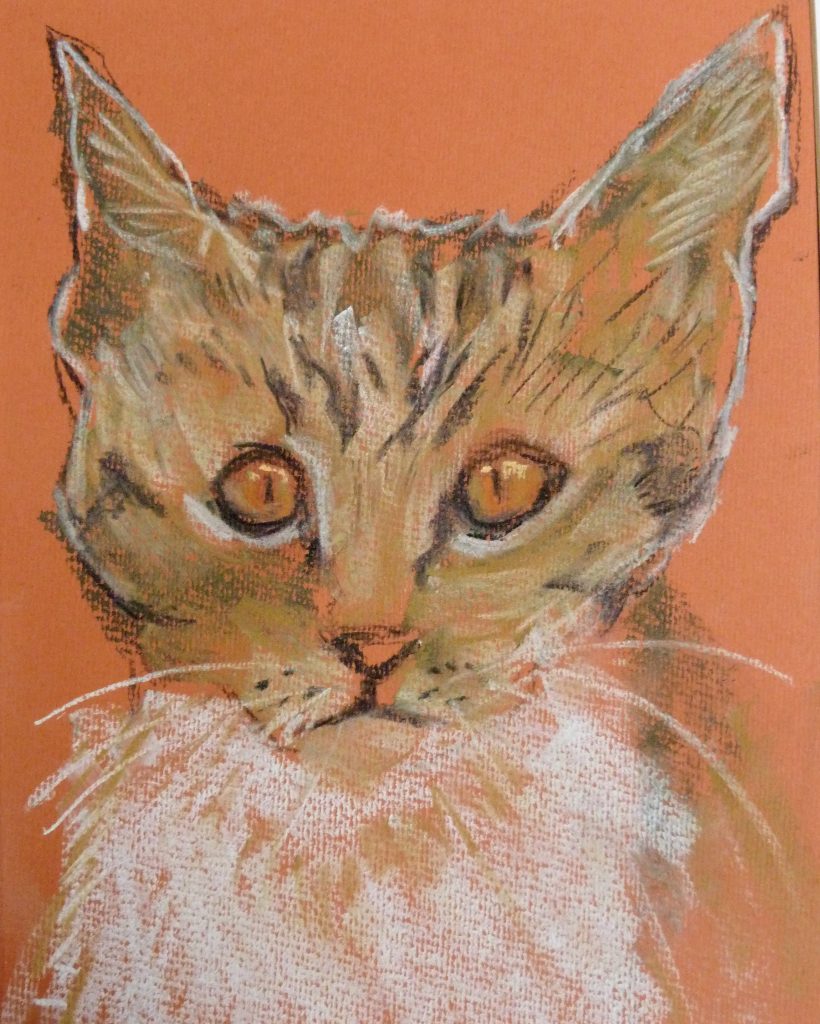 Kitten